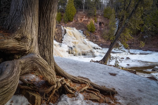 Late spring at Gooseberry by Nick Moran.
