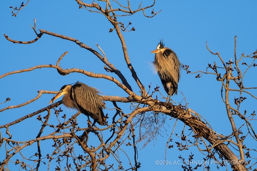 Nice light this morning by Alec Johnson.