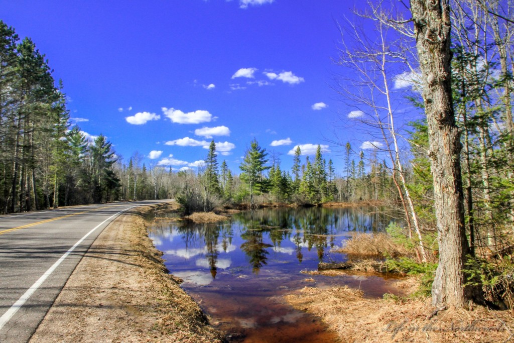 Roadside Pothole by M Crowley.