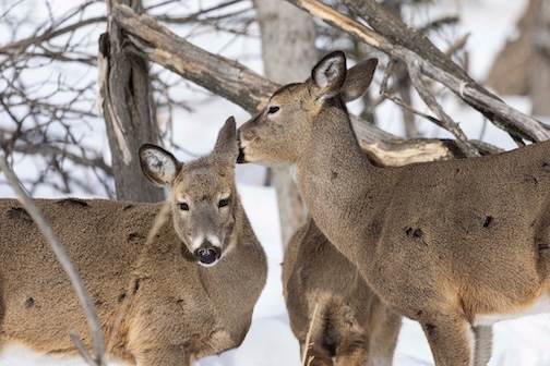 Would you like to go somewhere more private? by Chris Artist.