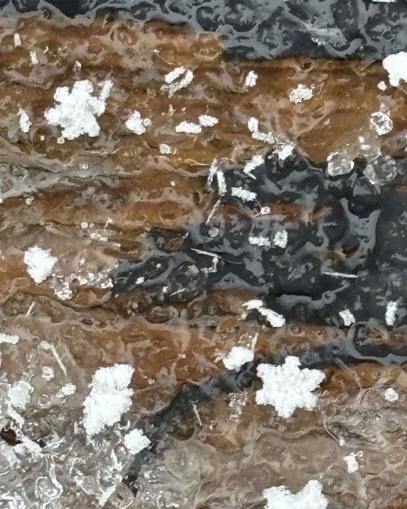 Star Snowflakes by Mary.