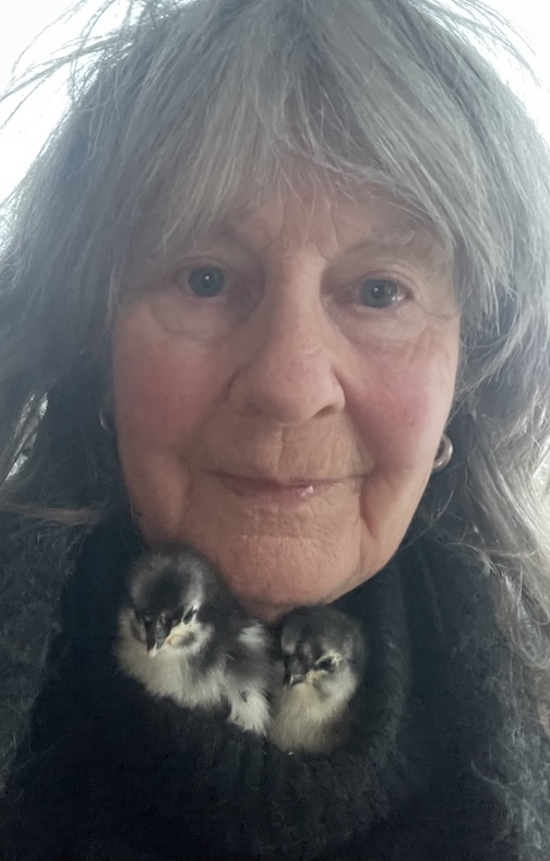 Cilla Walford with her collar of chicks.