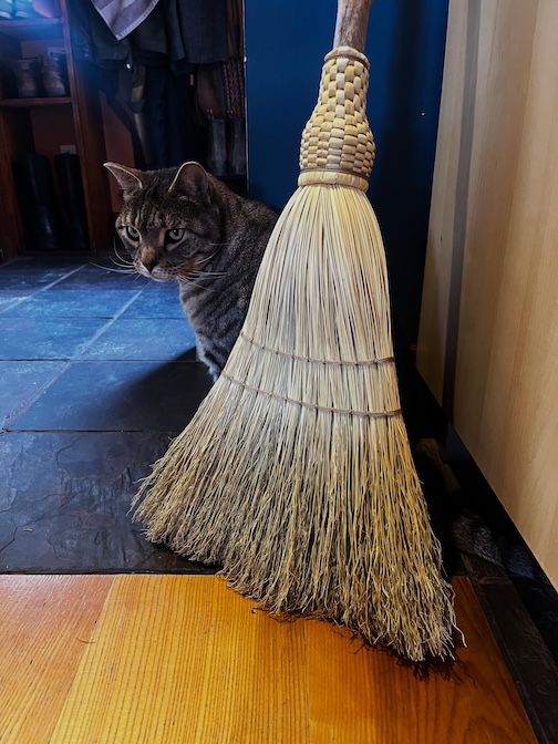 Just a girl, her cat and her broom, ready to make magic by igette Binesikwe Nies.