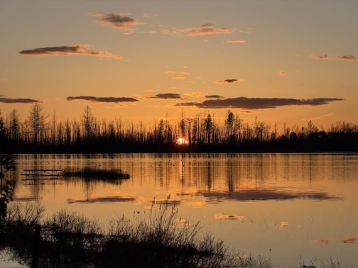 Sunset with ducks by Michael Furtman.