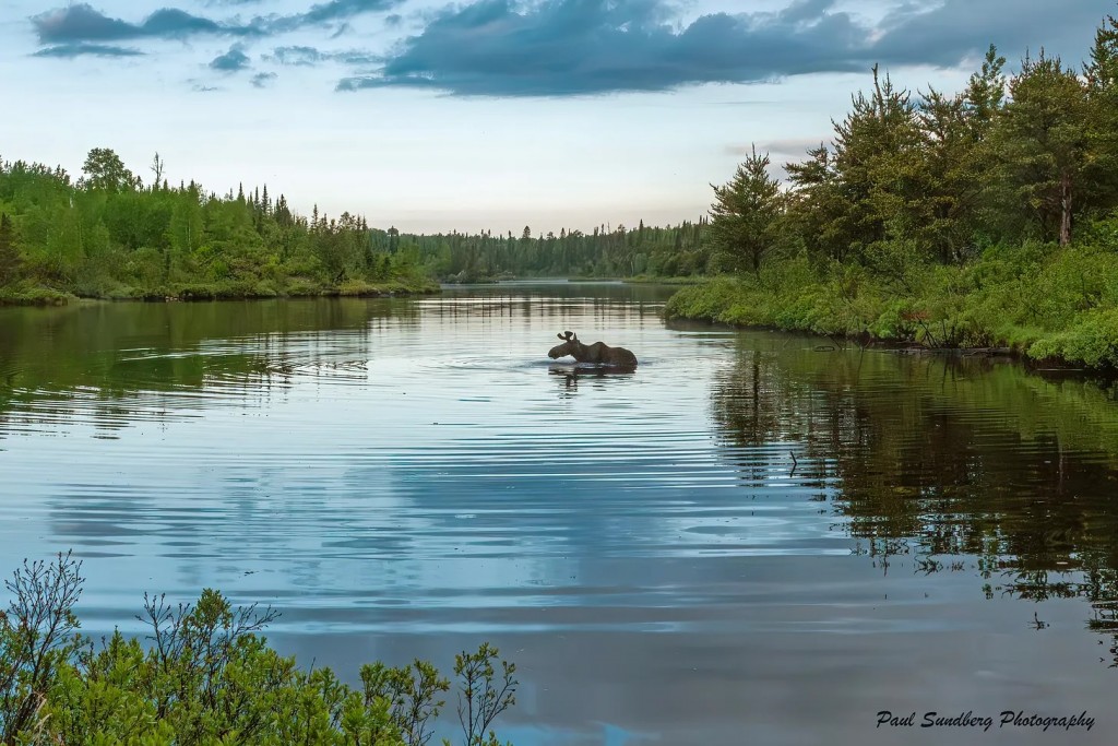 A tranquil lunch by Paul Sundberg.