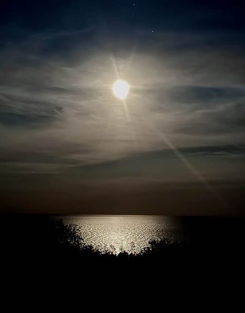 Blue Moon by Janice Latz.