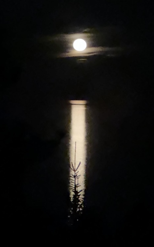 Blue Moon by Maryl Skinner.