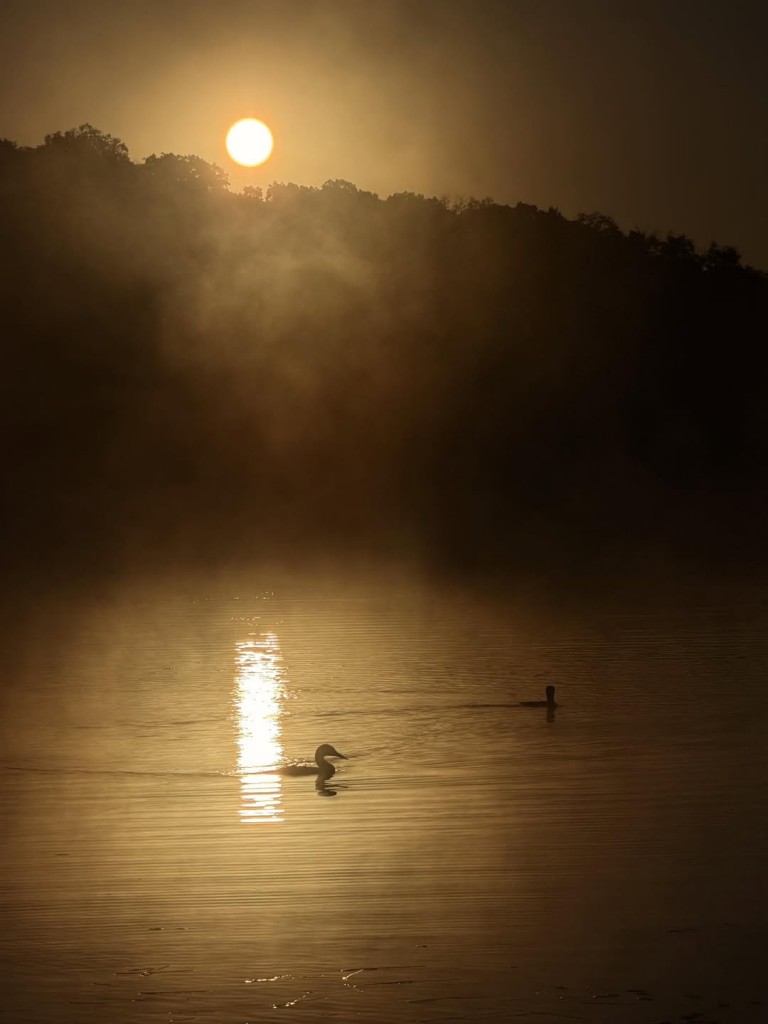 Early morning magic byHelen Mongan-Rallis.