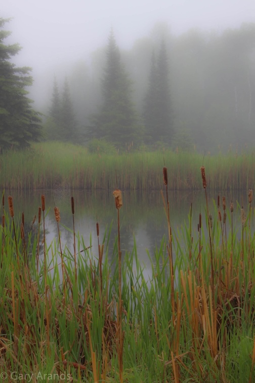 Hovland on a foggy morning by Gary Arands.