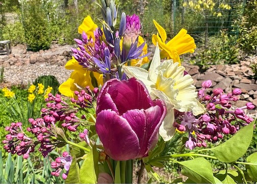 June is busting out all over by Maryl Skinner.