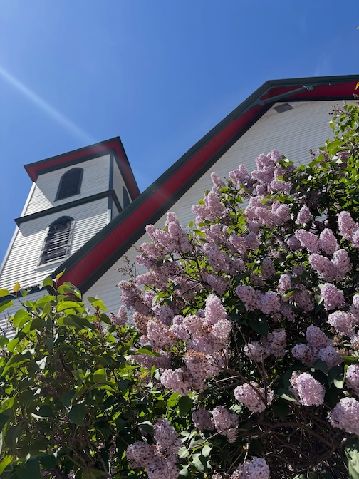 Lilac season at its peak by Betsy Bowen.