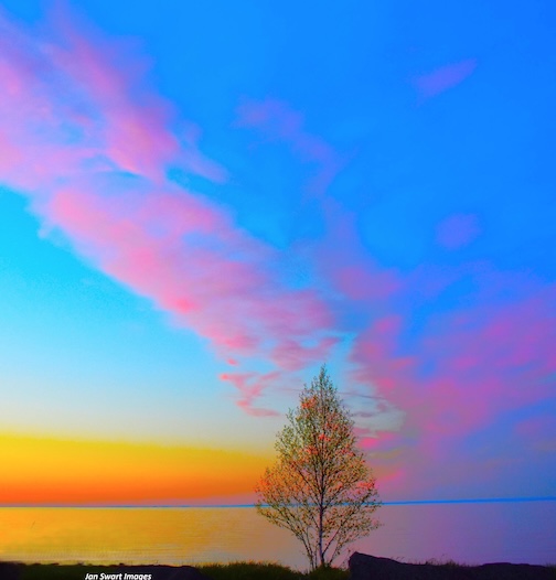 Morning Skies by Jan Swart.