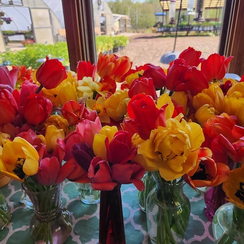 Spring garden harvest by tom Kasper.