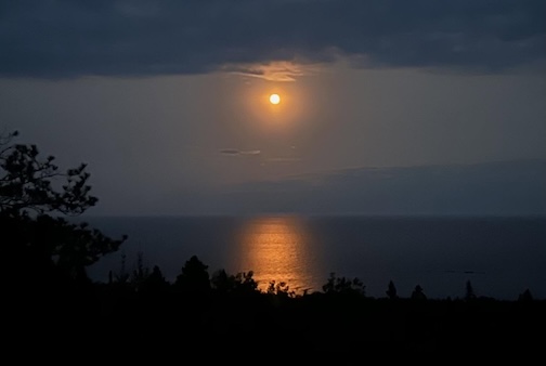Sunday's Moonlit Night by Maryl Skinner.