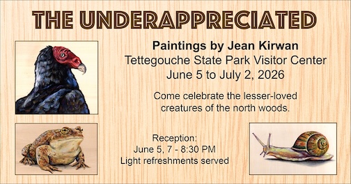 The Underappreciated, paintings by Jean Kirwan, opens at Teetgouche with a redpetion on June 5.