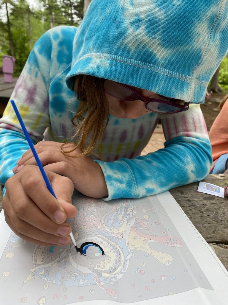A paint by number at a summer c amp at Birch Grove Community School.