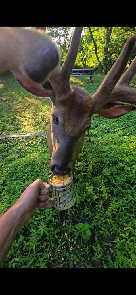 Another use for one of my rattle cups. Photo by Tom Peissig.
