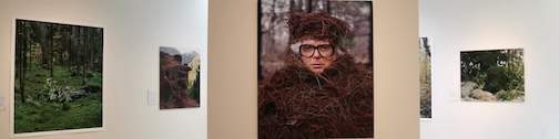 Eyes as Big as Plates is on view at the Swedish American Institute in Minneapolis.