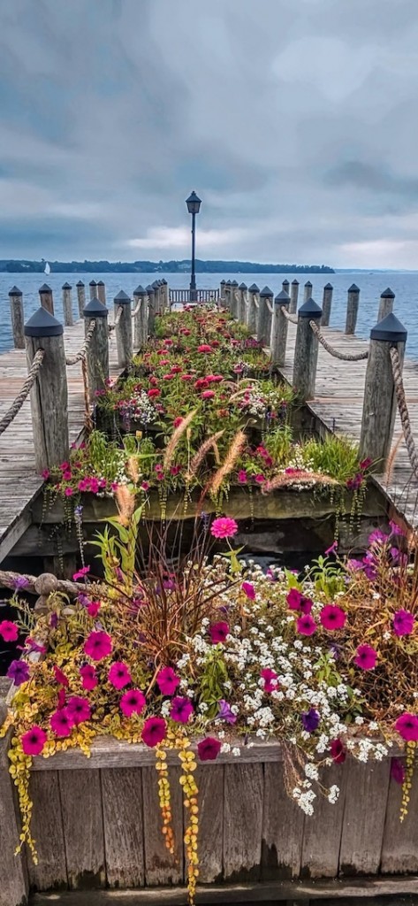 Dock garden, Lake Minnetonka, Wayzata by Carl Anderson.