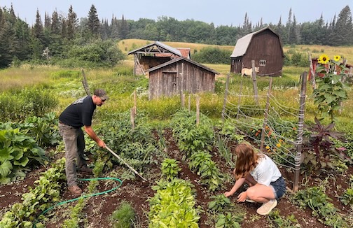 Kent & Philis’s garden with Kent's niece, Olivia. by Layne Kennedy.