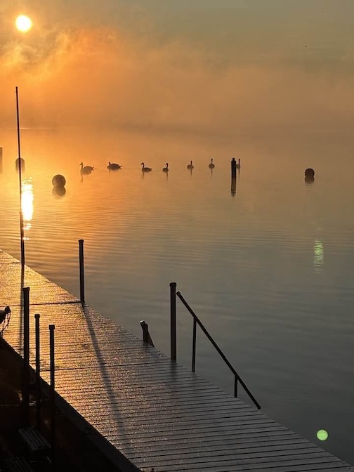 A quiet moment with Canada Geese by MaryBeams.