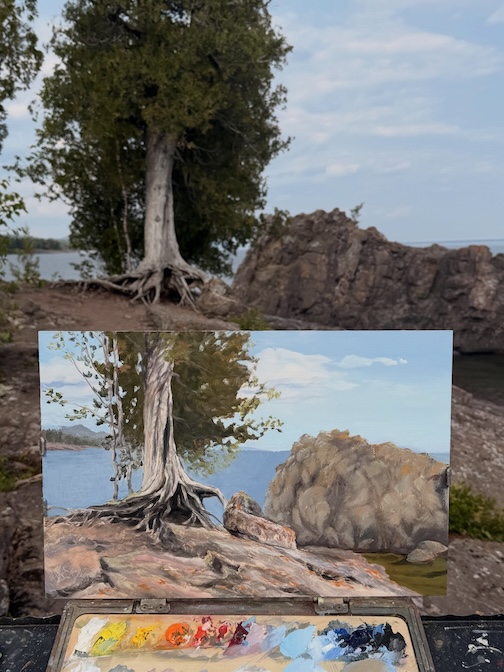 Cedar’s Last Stand, a painting in progress by Allison Eklund.