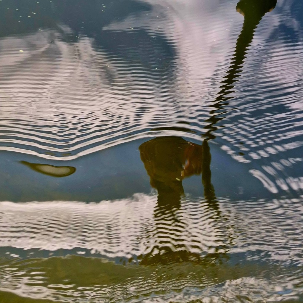 Untitled, by Kim Dayton.