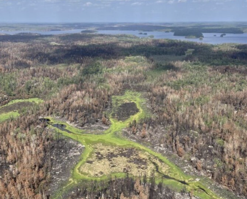 July wildfires leave a mosaic in the Boundary waters, photo courtesy of WTIP.