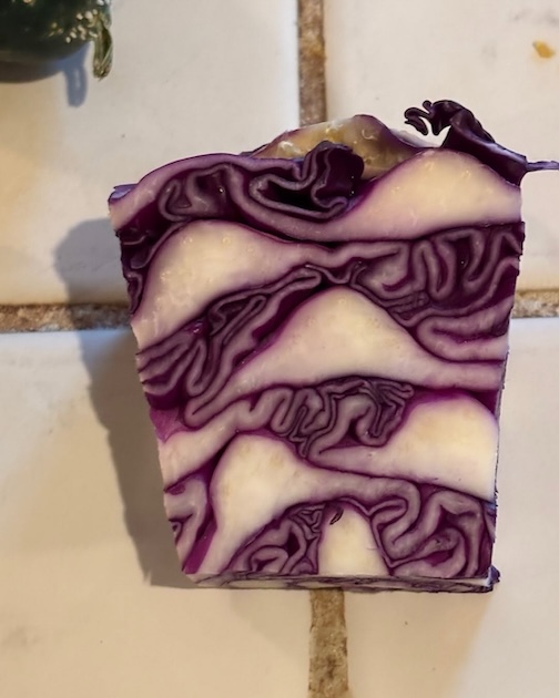 Red cabbage secrets by Mary Beams.