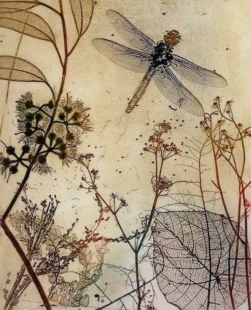 Forrest dragonfly, intentionally spelled with two rs,.Mixed-media collagraph and pvc etching. Jet James